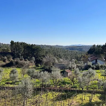 Σπίτι διακοπών Casa Do Avo Patricio - Amazing
