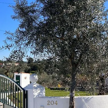 Casa Do Avo Patricio - Amazing Σπίτι διακοπών
