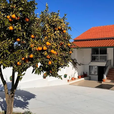 Σπίτι διακοπών Casa Do Avo Patricio - Amazing Pampilhal